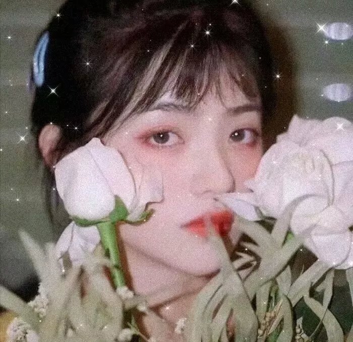 江湖学院第一季
