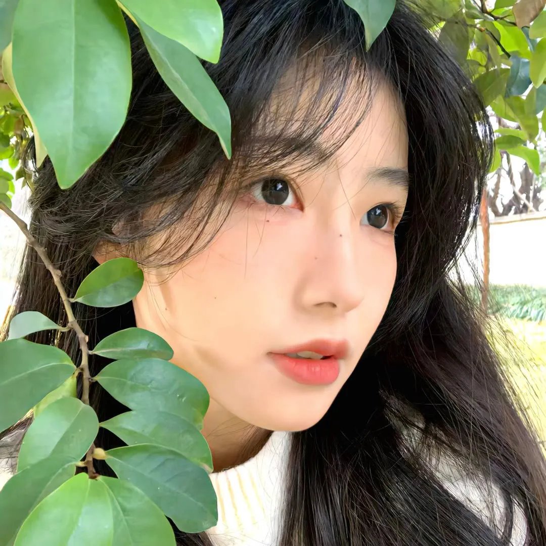 拨云见日第一季